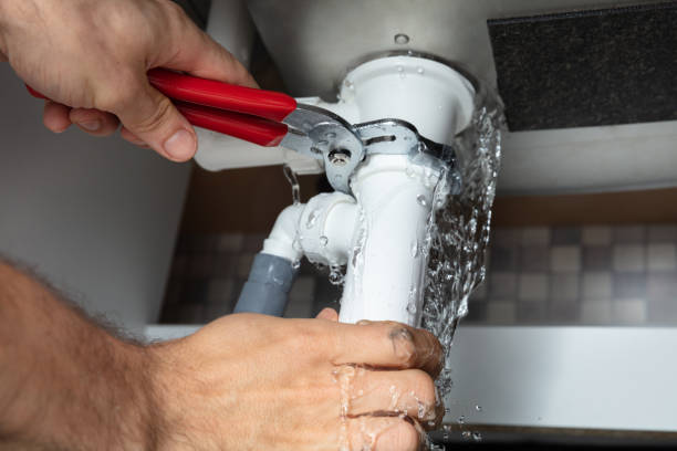Best Flood damage cleanup  in Sahuarita, AZ