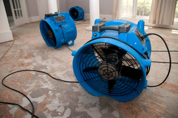 Best Water damage restoration near me  in Sahuarita, AZ