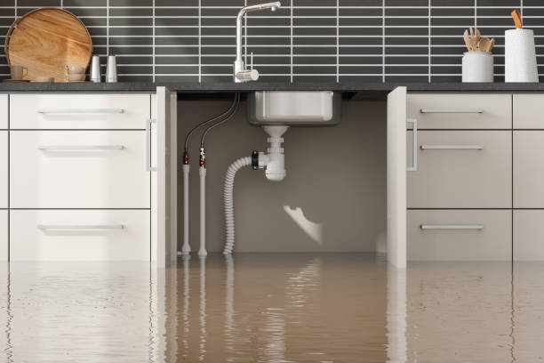 Best Residential water damage restoration  in Sahuarita, AZ